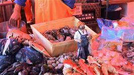 Fish on display at the Bergen Fish Market